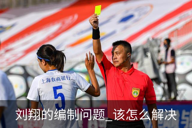 刘翔的编制问题 该怎么解决